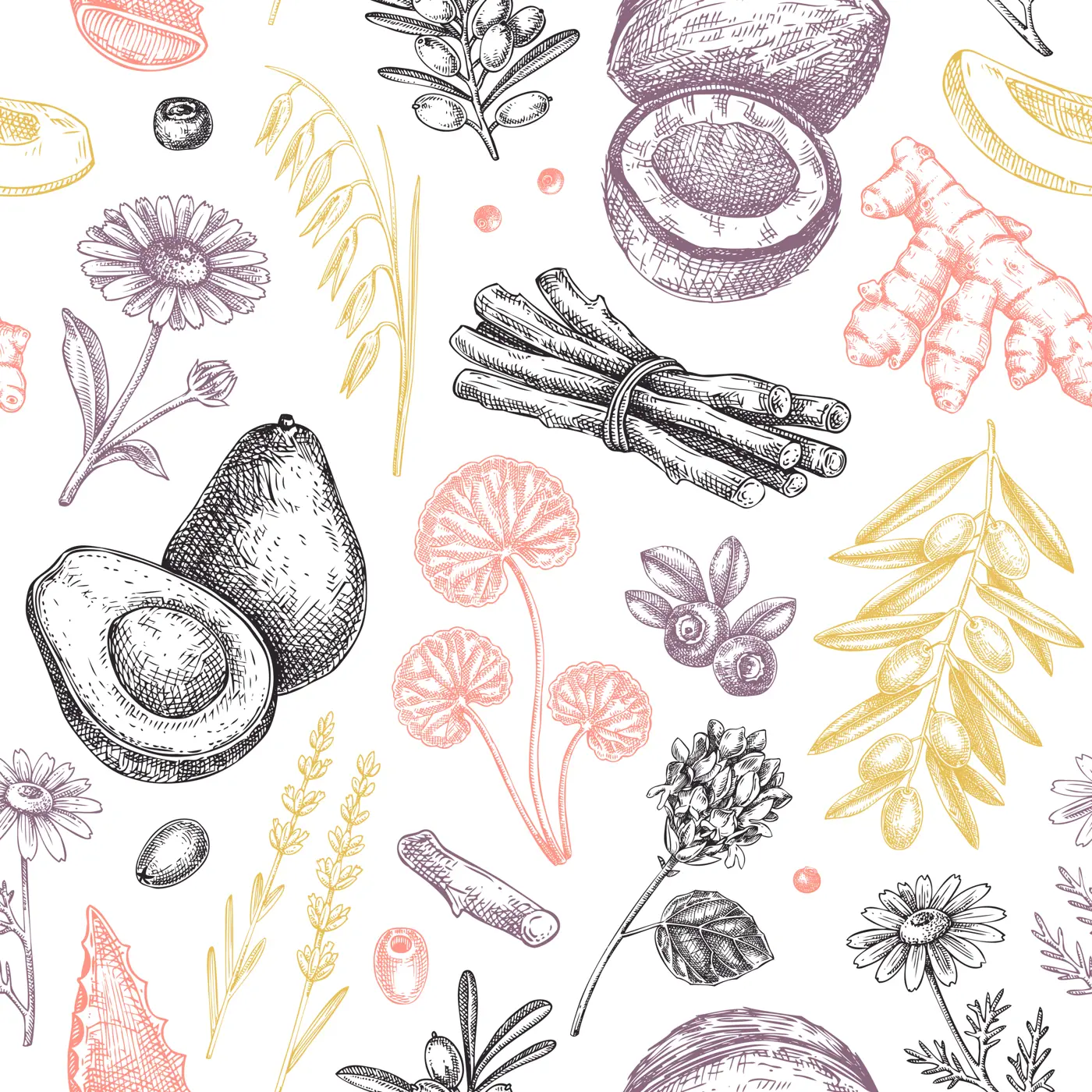 Spa background design. Welness seamless pattern. Medicinal herbs, floral element, natural ingredients sketches. Hand drawn vector illustration.  Illustration